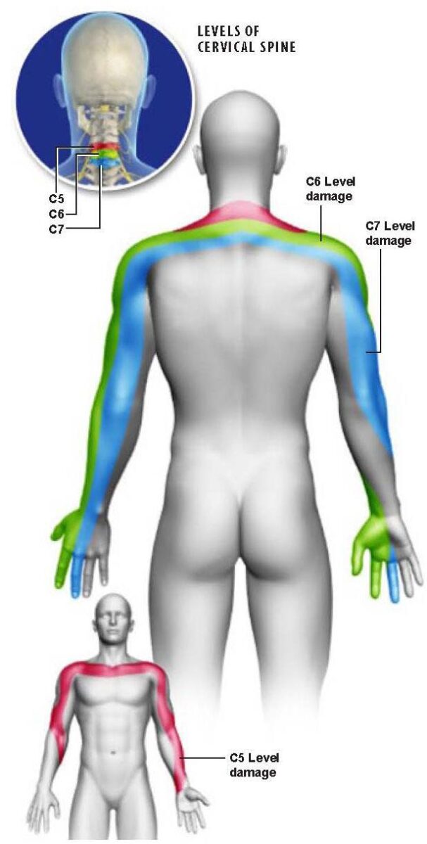 levels-cervical-spine